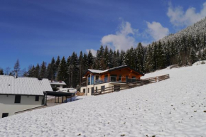 Austrian Alpine Apartments